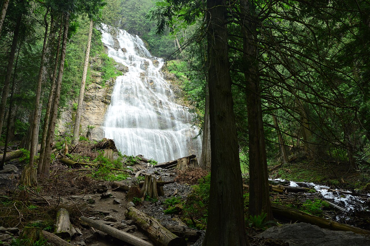Bridal Veil Falls cascading over rock amid forest