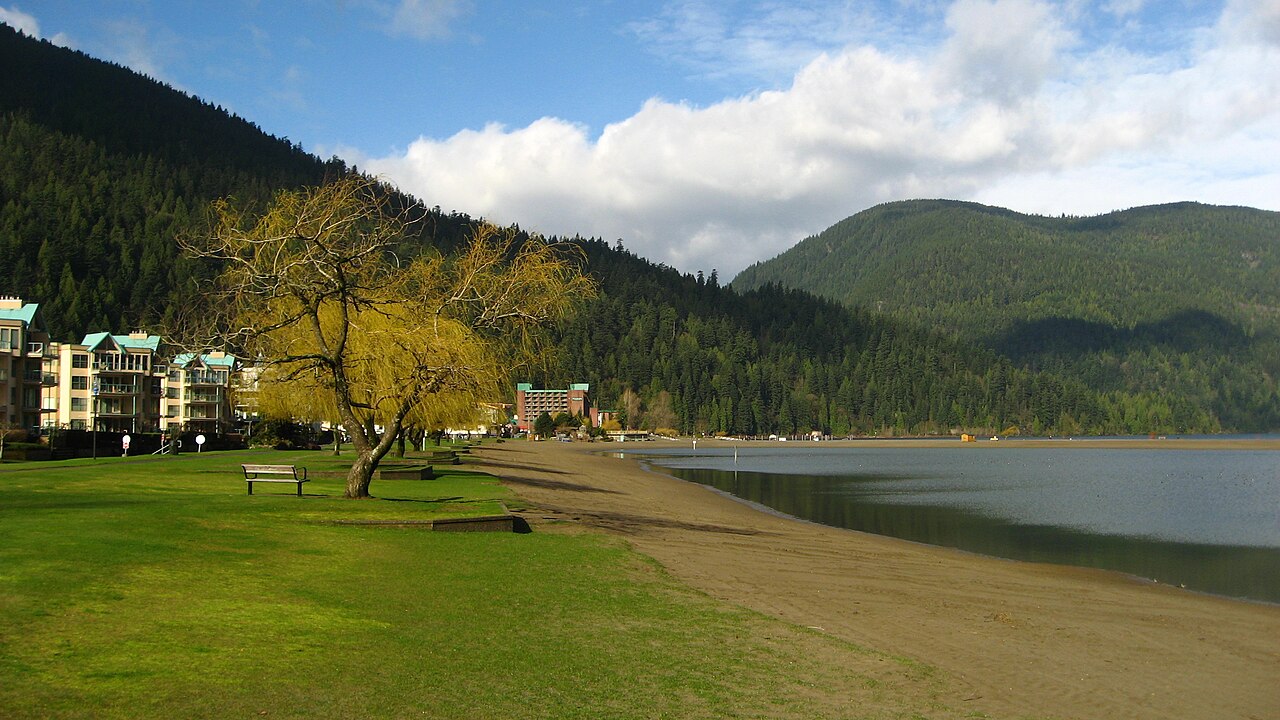 Sandy shore and grass beside Harrison Lagoon